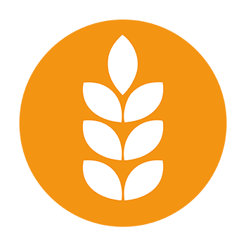 allergen logo gluten